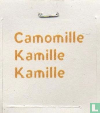 Camomille - Image 3