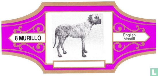 English Mastiff - Image 1