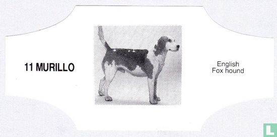 English Fox hound - Afbeelding 1