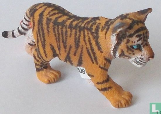 Tiger cub running