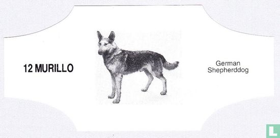 German Shepherddog - Afbeelding 1
