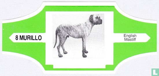 English Mastiff - Afbeelding 1