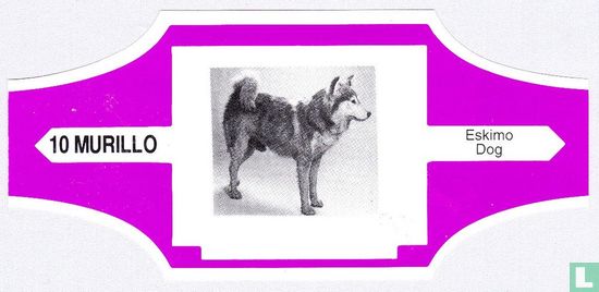 Eskimo Dog - Afbeelding 1