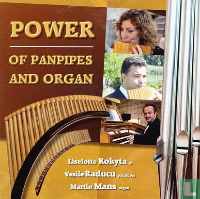 Power of panpipes and organ - Image 1