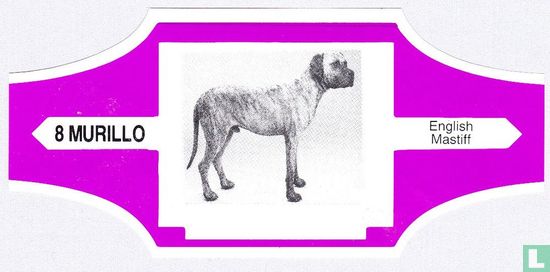 English Mastiff - Image 1