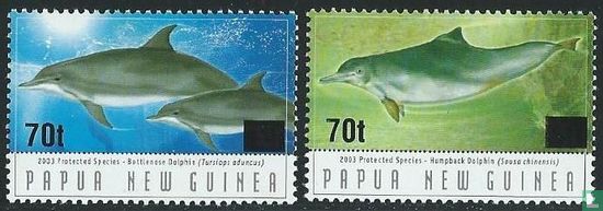 Dolphins with overprint 
