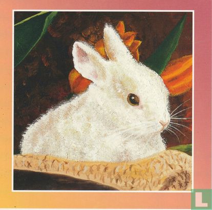 Wit konijn - Afbeelding 1