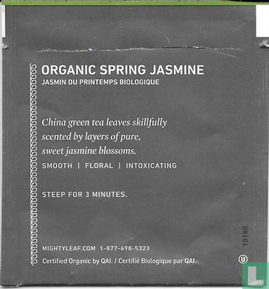 Organic Spring Jasmine  - Image 2