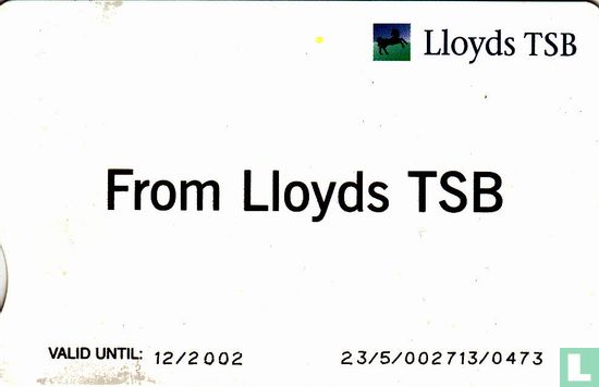 Lloyds TSB, Scottish Widows - Image 2