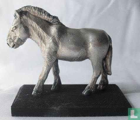 Przewalski-paard - Afbeelding 2