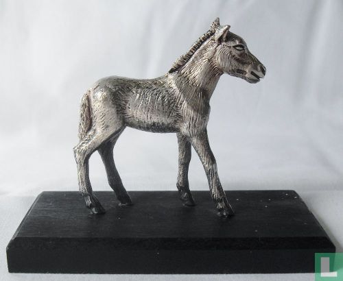 Przewalski foal - Image 1