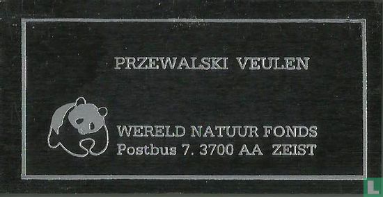 Przewalski veulen - Afbeelding 3