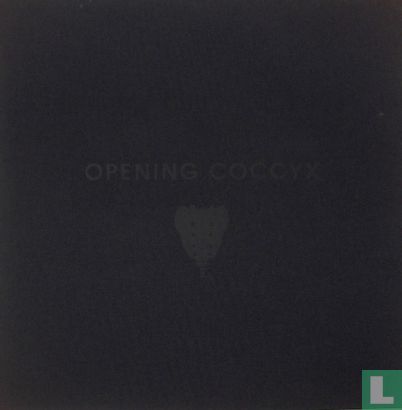 Opening Coccyx [lege box] - Bild 1