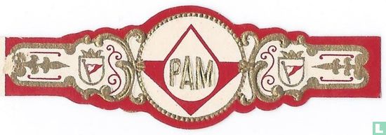 PAM - Image 1