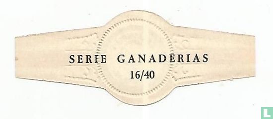 Ganaderias Españolas - Image 2