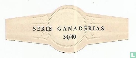 Ganaderias Españolas - Image 2