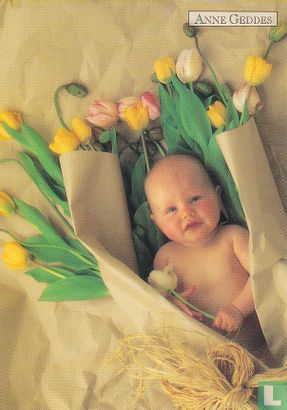 Anne Geddes: Baby Bouquet