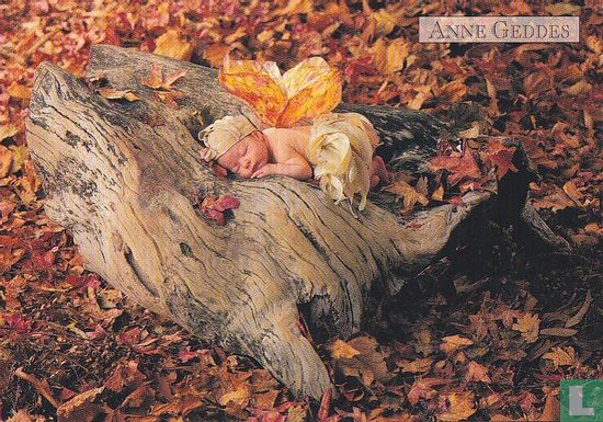 Anne Geddes: Woodland Fairy