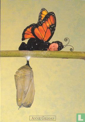 Anne Geddes: Monarch Butterfly