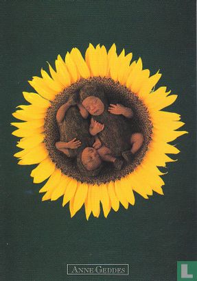 Anne Geddes: Sunflower Twins