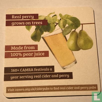 Real Cider Grows on Trees - Afbeelding 2