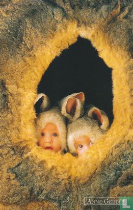 Anne Geddes: 39