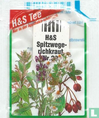 Spitzwege-richkraut - Image 1