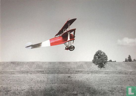 Triplane