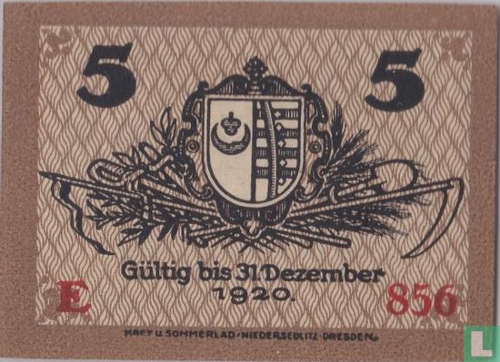 Kemberg Stadt 5 Pfennig 1918 - Bild 2