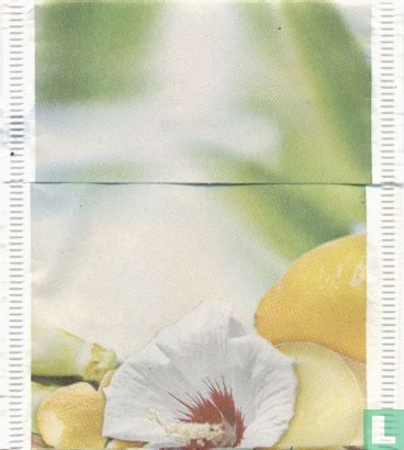 Bio Ingwer-Zitronen-Tee - Bild 2