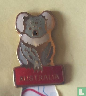 Australia - Koalabeer