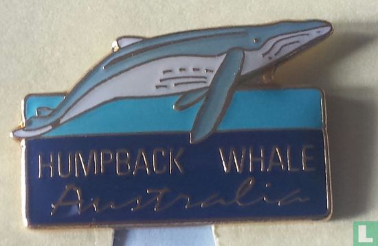 Humpback whale-Australia