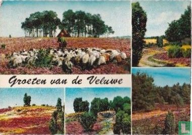 Groeten van de Veluwe - Hoenderloo