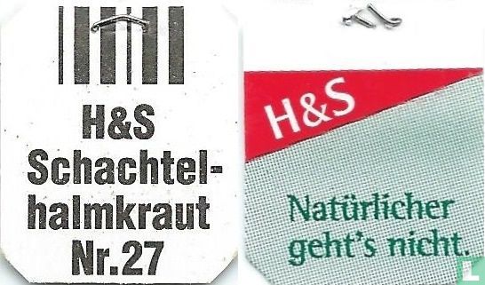 Schachtel-halmkraut - Image 3