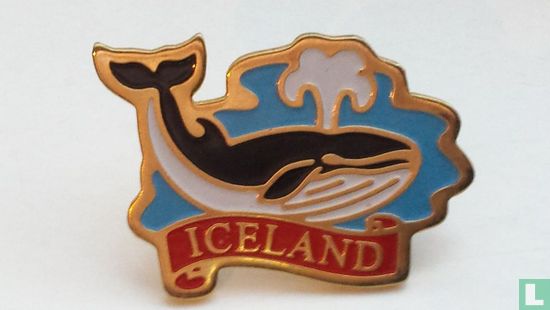 Iceland - Walvis