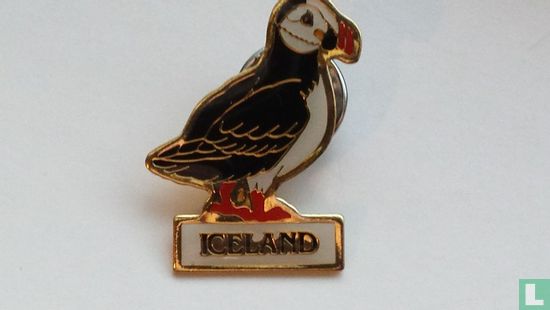 Iceland - Papegaaiduiker