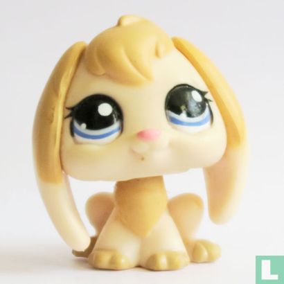 Rabbit   - Image 1