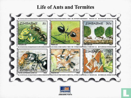 Ants and termites