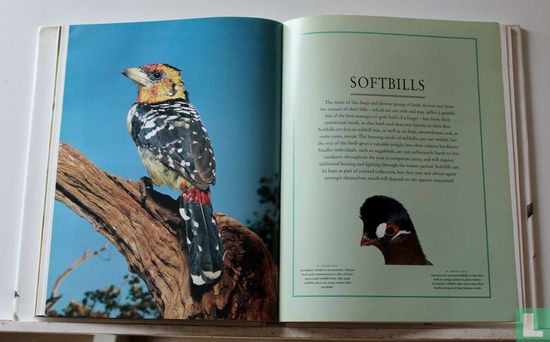The Ultimate Encyclopedia of Caged and Aviary Birds - Bild 3