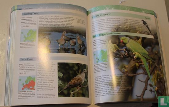 Encyclopedia of European Birds - Bild 3