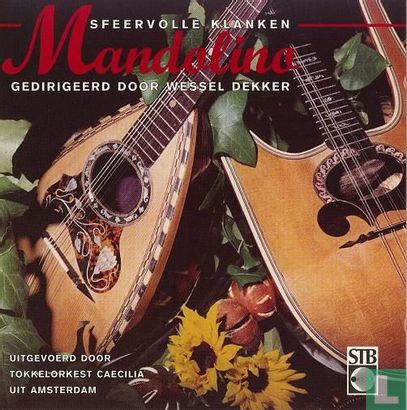 Sfeervolle klanken mandolino - Image 1