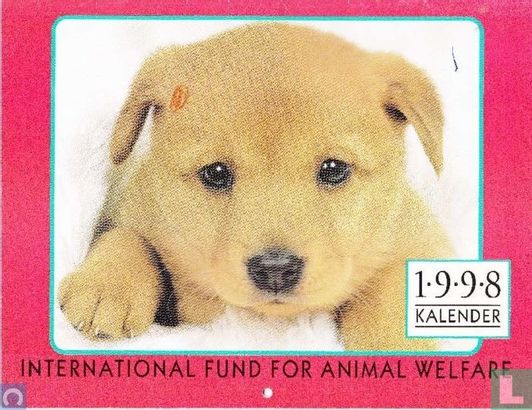 Kalender IFAW 1998 - Afbeelding 1