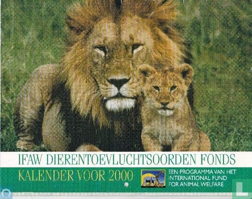 Kalender IFAW 2000 - Afbeelding 1
