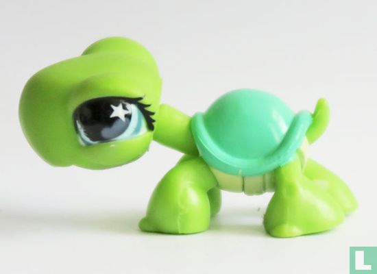 Tortoise   - Bild 3