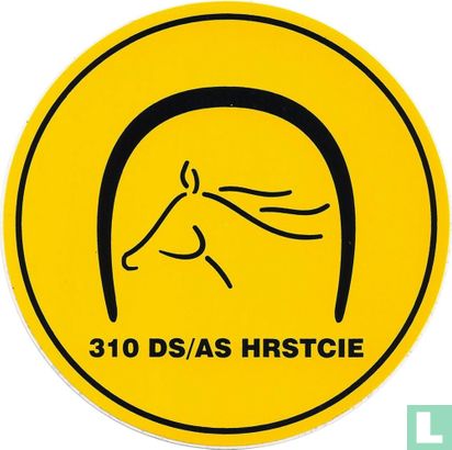 310 DS/AS HRSTCIE