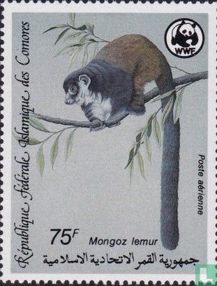 mongoz lemur