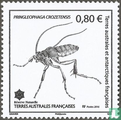 Pringleophaga crozetensis