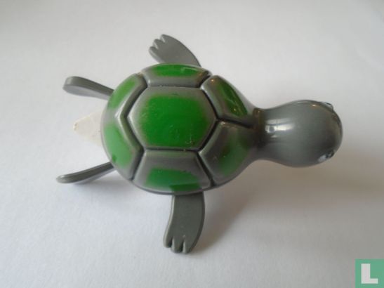 Turtle - Image 1