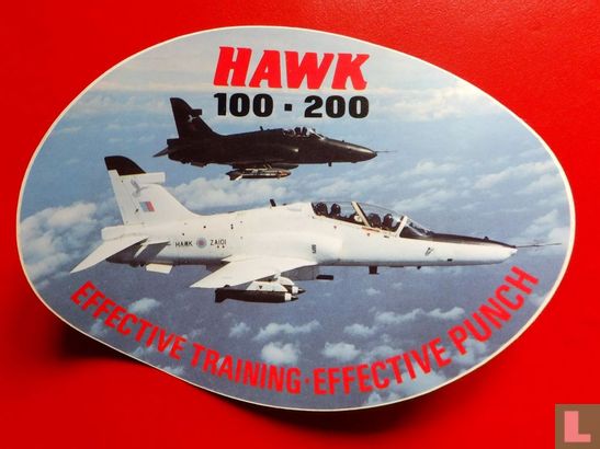 Hawk 100-200: Effective trainning-Effective punch - Image 1