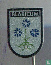 Blaricum